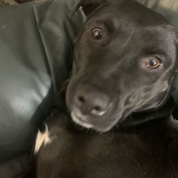 Going off to college sale! 🏫 Make offers! I will not get offended by any offer✨ - Picture 4 of 7